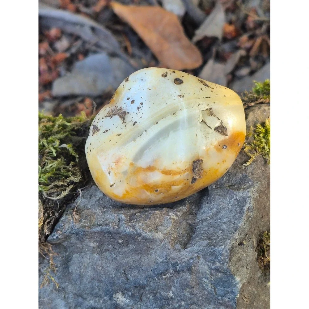 Handcrafted Rustic Olive Wood Oval Bowl w/ PNW Carnelian Agates & Yellow Jasper